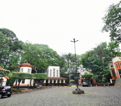 Ribeirão Preto/SP e Tambaú/SP