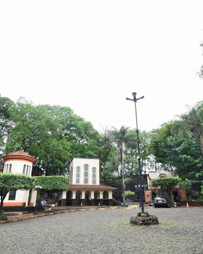 Ribeirão Preto/SP e Tambaú/SP